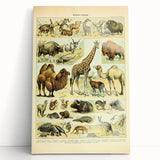 Vintage Animal Art: Retro Giraffe & Wildlife Illustration Print