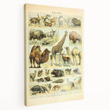 Vintage Animal Art: Retro Giraffe & Wildlife Illustration Print