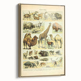 Vintage Animal Art: Retro Giraffe & Wildlife Illustration Print