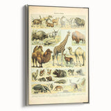 Vintage Animal Art: Retro Giraffe & Wildlife Illustration Print