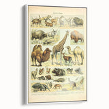 Vintage Animal Art: Retro Giraffe & Wildlife Illustration Print