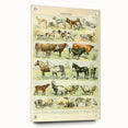 Vintage Animal Art: Retro Farm & Domestic Mammals Illustration