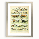 Vintage Animal Art: Retro Farm & Domestic Mammals Illustration