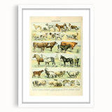 Vintage Animal Art: Retro Farm & Domestic Mammals Illustration