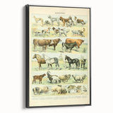Vintage Animal Art: Retro Farm & Domestic Mammals Illustration