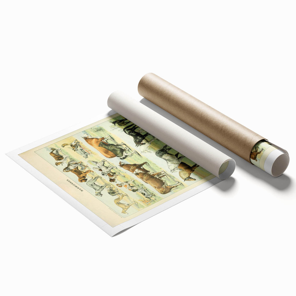 Vintage Animal Art: Retro Farm & Domestic Mammals Illustration