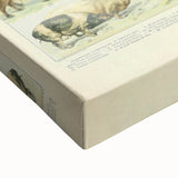 Vintage Animal Art: Retro Farm & Domestic Mammals Illustration