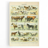 Vintage Animal Art: Retro Farm & Domestic Mammals Illustration