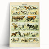 Vintage Animal Art: Retro Farm & Domestic Mammals Illustration
