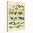 Vintage Animal Art: Retro Farm & Domestic Mammals Illustration