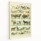 Vintage Animal Art: Retro Farm & Domestic Mammals Illustration