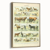 Vintage Animal Art: Retro Farm & Domestic Mammals Illustration