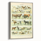 Vintage Animal Art: Retro Farm & Domestic Mammals Illustration