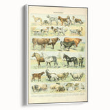 Vintage Animal Art: Retro Farm & Domestic Mammals Illustration