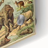 Vintage Animal Art: Retro Wildlife Mammals Illustration Print