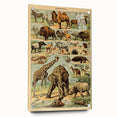 Vintage Animal Art: Retro Wildlife Mammals Illustration Print
