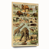 Vintage Animal Art: Retro Wildlife Mammals Illustration Print