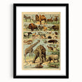 Vintage Animal Art: Retro Wildlife Mammals Illustration Print