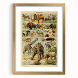 Vintage Animal Art: Retro Wildlife Mammals Illustration Print
