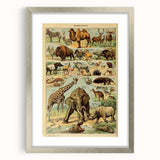 Vintage Animal Art: Retro Wildlife Mammals Illustration Print