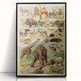 Vintage Animal Art: Retro Wildlife Mammals Illustration Print