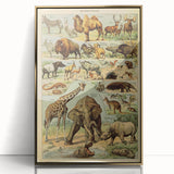 Vintage Animal Art: Retro Wildlife Mammals Illustration Print
