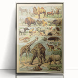 Vintage Animal Art: Retro Wildlife Mammals Illustration Print