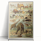 Vintage Animal Art: Retro Wildlife Mammals Illustration Print
