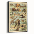 Vintage Animal Art: Retro Wildlife Mammals Illustration Print