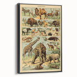Vintage Animal Art: Retro Wildlife Mammals Illustration Print