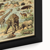 Vintage Animal Art: Retro Wildlife Mammals Illustration Print
