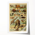 Vintage Animal Art: Retro Wildlife Mammals Illustration Print