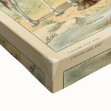 Vintage Animal Art: Retro Wildlife Mammals Illustration Print