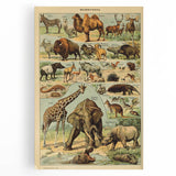 Vintage Animal Art: Retro Wildlife Mammals Illustration Print