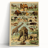 Vintage Animal Art: Retro Wildlife Mammals Illustration Print