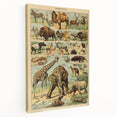 Vintage Animal Art: Retro Wildlife Mammals Illustration Print