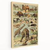 Vintage Animal Art: Retro Wildlife Mammals Illustration Print