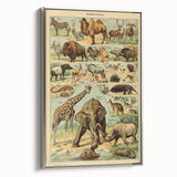 Vintage Animal Art: Retro Wildlife Mammals Illustration Print