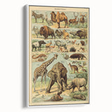 Vintage Animal Art: Retro Wildlife Mammals Illustration Print