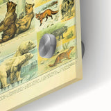 Vintage Animal Art: Retro Big Cats & Wildlife Illustration Print