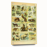 Vintage Animal Art: Retro Big Cats & Wildlife Illustration Print