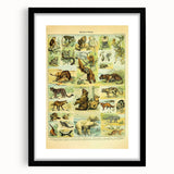 Vintage Animal Art: Retro Big Cats & Wildlife Illustration Print