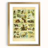 Vintage Animal Art: Retro Big Cats & Wildlife Illustration Print