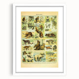 Vintage Animal Art: Retro Big Cats & Wildlife Illustration Print