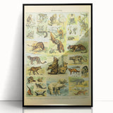 Vintage Animal Art: Retro Big Cats & Wildlife Illustration Print