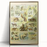 Vintage Animal Art: Retro Big Cats & Wildlife Illustration Print