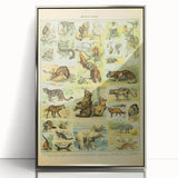 Vintage Animal Art: Retro Big Cats & Wildlife Illustration Print