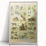 Vintage Animal Art: Retro Big Cats & Wildlife Illustration Print