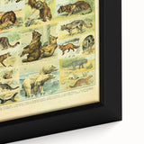Vintage Animal Art: Retro Big Cats & Wildlife Illustration Print