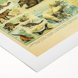 Vintage Animal Art: Retro Big Cats & Wildlife Illustration Print